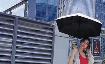 微密圈 – 习惯壁纸了，结果看到徐珺大哥的毛绒豹猫，果然又想换壁纸！