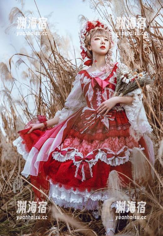 阿包也是兔娘 图册中碰撞的冰雪与热情,阿包也是兔娘的作品在说什么呢